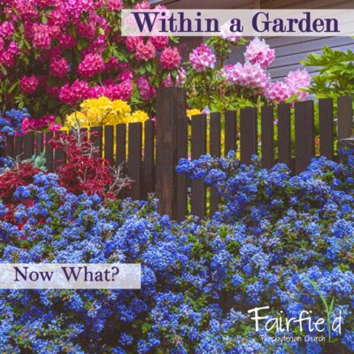 Within a Garden: Now What?