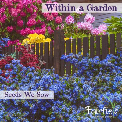 Within a Garden: Seeds We Sow