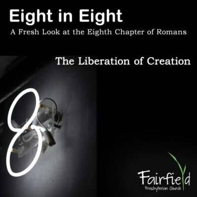 Eight in Eight: The Liberation of Creation