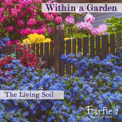 Within a Garden: The Living Soil