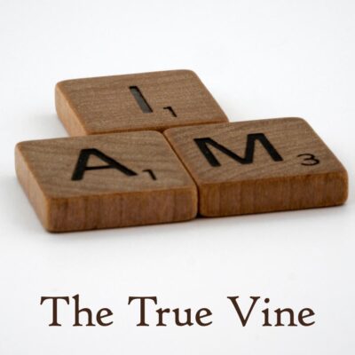 I AM The True Vine