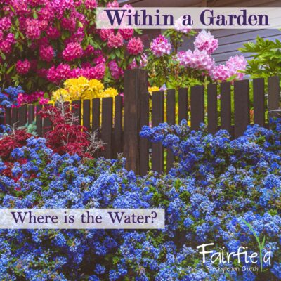 Within A Garden: Where is the Water?