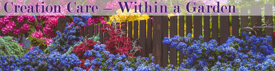 Creation Care: Within a Garden