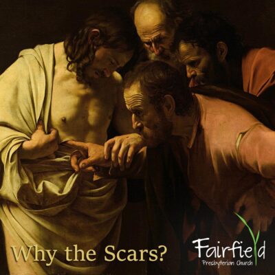 Why the Scars?