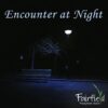 Encounter at Night