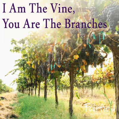 I Am the Vine, You Are the Branches