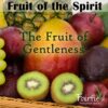 Fruit of the Spirit - The Fruit of Gentleness