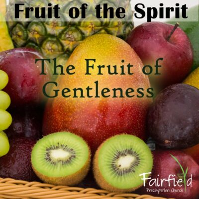 Fruit of the Spirit - The Fruit of Gentleness