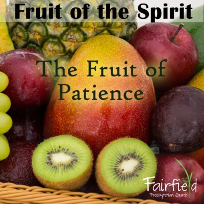 Fruit of the Spirit - The Fruit of Patience